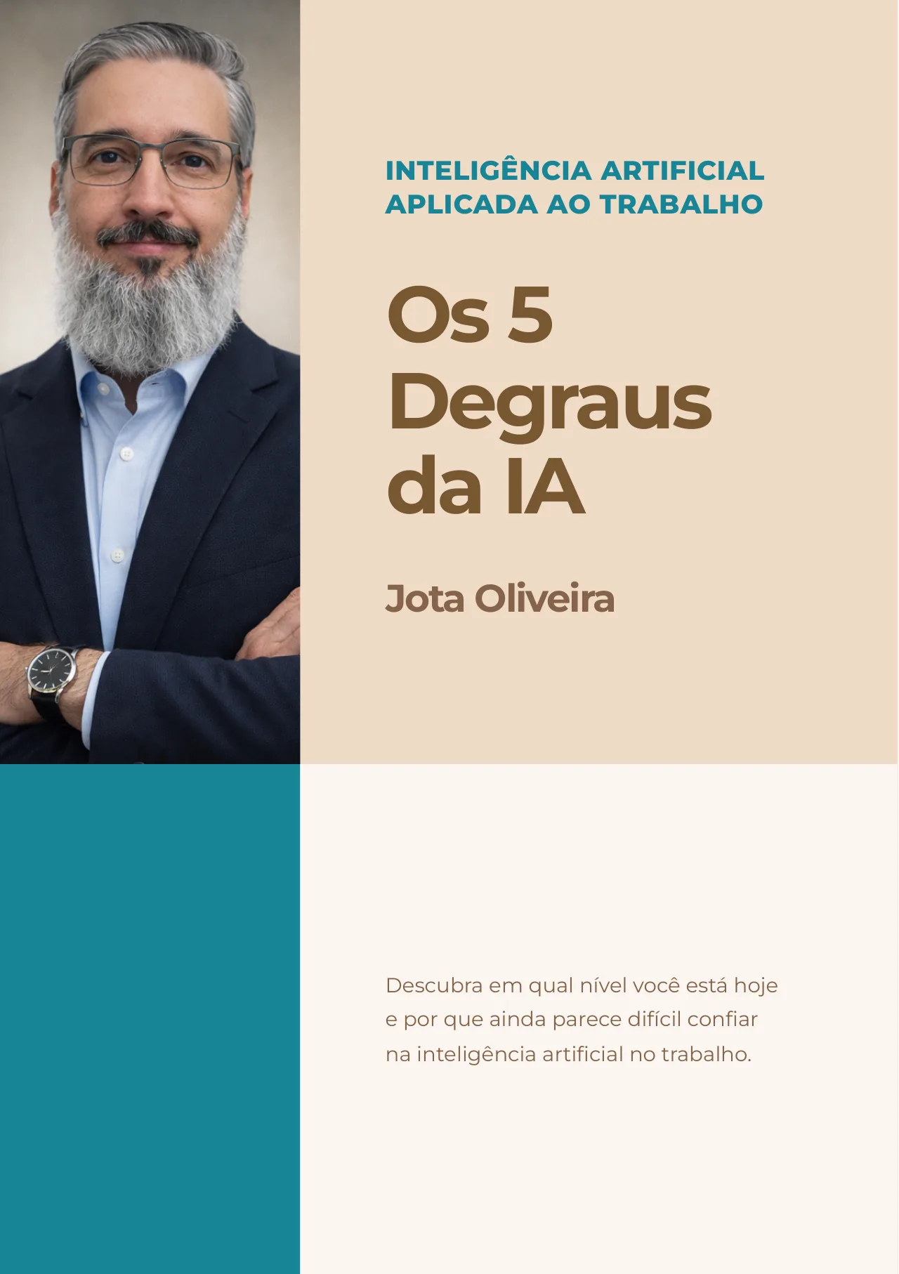 Capa do livro Os 5 Degraus da IA